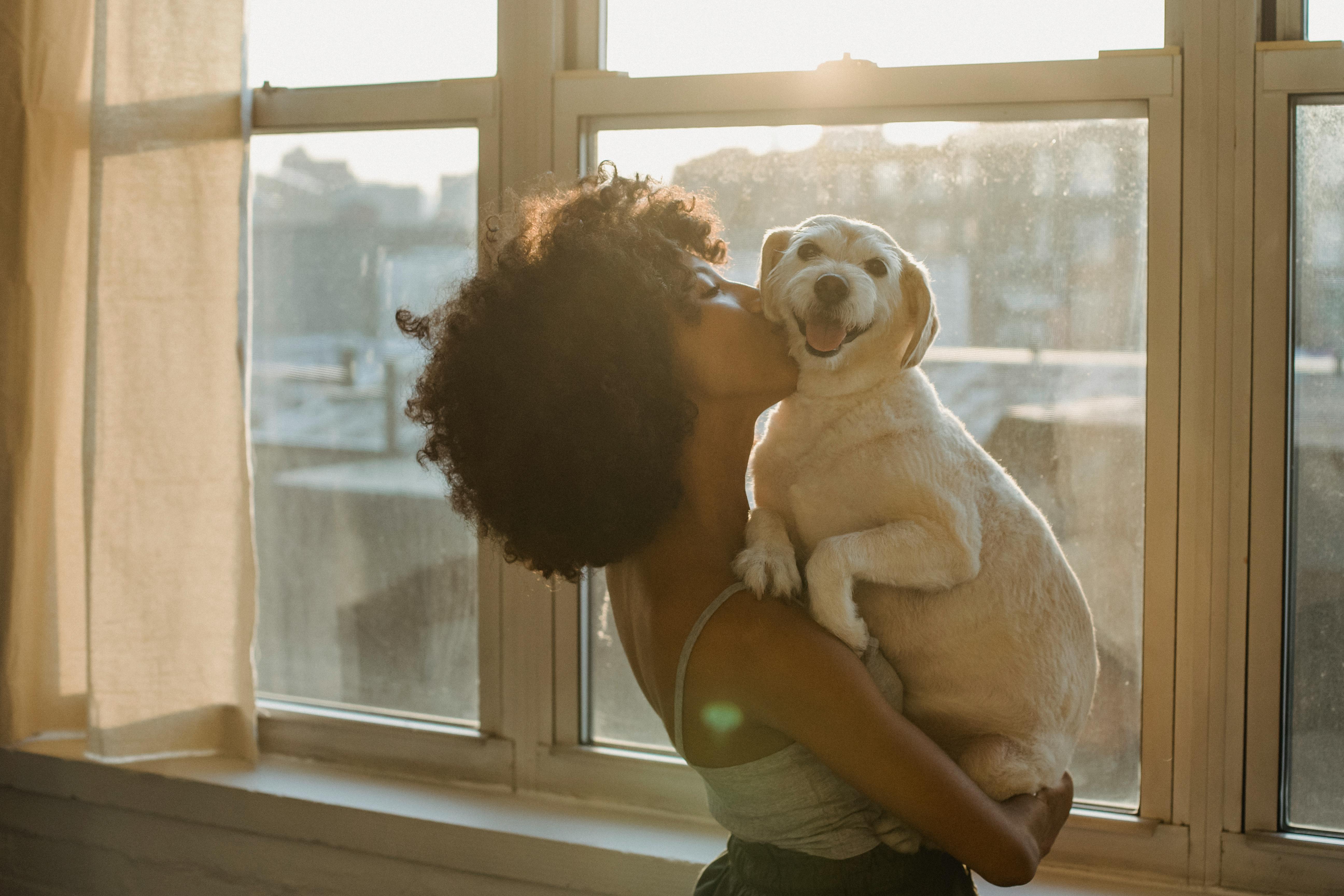 Transforming Lives: The Heartfelt Benefits of Adopting from Animal Shelters