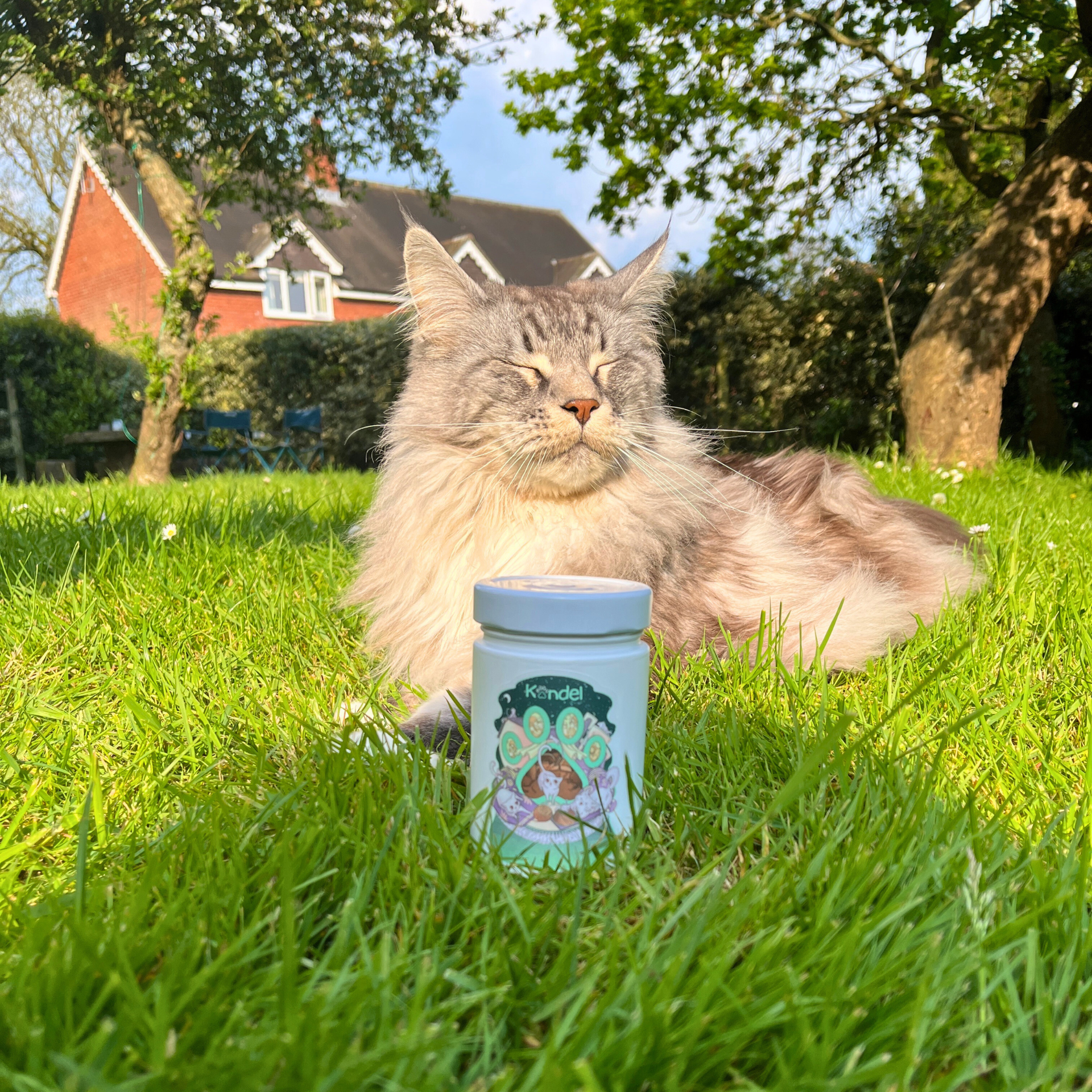Green Cat Candle - Smoky Vanilla Whiskers